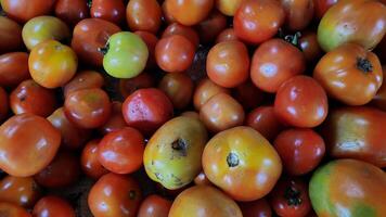 aambeien van tomaten in containers verkocht in traditioneel markten foto
