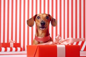 ai gegenereerd dichtbij omhoog portret schattig weinig aanbiddelijk stamboom miniatuur teckel puppy jacht- hond hondje positief nieuwsgierig uitdrukking geschenk doos Cadeau vrolijk Kerstmis Kerstmis vakantie gelukkig nieuw jaar foto