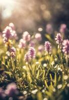 ai gegenereerd mooi, zonovergoten voorjaar zomer weide. natuurlijk kleurrijk panoramisch landschap met veel wild bloemen van madeliefjes tegen blauw lucht. een kader met zacht selectief focus. foto