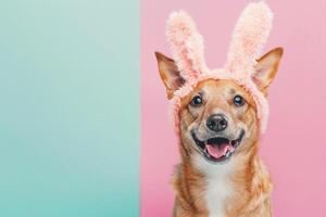 ai gegenereerd een hond vervelend een konijn hoofdband met generatief ai foto