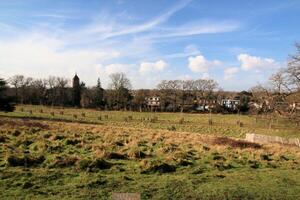 uitzicht op een park in londen foto