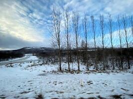 een visie van de IJsland platteland in de winter gedekt met sneeuw in de buurt de golfos waterval foto