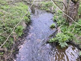 uitzicht op het platteland van cheshire bij carden park foto