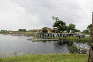 een visie van de Florida eveglades foto