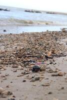 foto van koraal rotsen Aan de strand