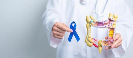 dokter Holding blauw lint met menselijk dikke darm anatomie model. maart colorectaal kanker bewustzijn maand, colon ziekte, groot darm, ulceratief colitis, spijsvertering systeem en Gezondheid concept foto