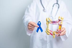 dokter Holding blauw lint met menselijk dikke darm anatomie model. maart colorectaal kanker bewustzijn maand, colon ziekte, groot darm, ulceratief colitis, spijsvertering systeem en Gezondheid concept foto