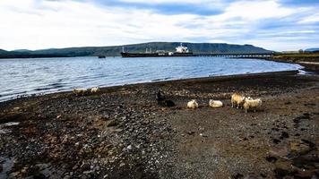 2021 08 09 westelijk ijsland hvalfjordur 3 foto