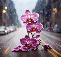 ai gegenereerd roze orchideeën Aan de straat in nieuw york stad gedurende de regen foto