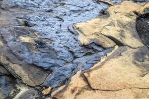 verbazingwekkende basaltrotsstructuren op het eindeloze zwarte strand van ijsland. foto