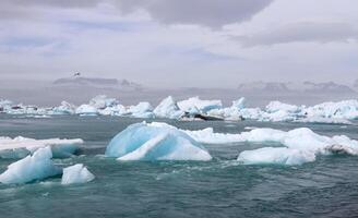 ijsland, jokulsarlon lagune, turquoise ijsbergen drijvend in gletsjerlagune op ijsland. foto