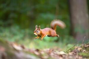 ai gegenereerd Euraziatisch rood eekhoorn sciurus vulgaris jumping in de Woud Bij zomer dag, neurale netwerk gegenereerd fotorealistisch beeld foto