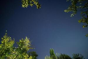 sterrenhemel nacht lucht in tuin, breed hoek vastleggen in zenit richting foto