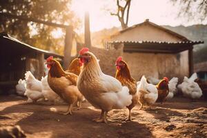 ai gegenereerd een groep van kippen buiten een boerderij in de zon, neurale netwerk gegenereerd fotorealistisch beeld foto