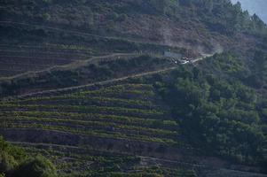 4x4 vervoert een aanhangwagen vol dozen druiven aan de oevers van de rivier de sil, ribeira sacra, galicië, spanje foto