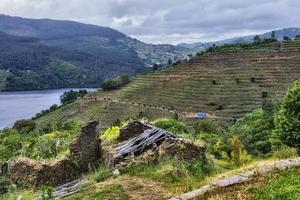 landschap van terrasvormige wijngaarden aan de minho-rivier in ribeira sacra, galicië, spanje foto