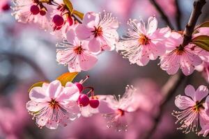 ai gegenereerd roze kers bloesems zijn bloeiend in de de lente. ai-gegenereerd foto