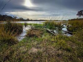 visie Aan kogelvangersven in kampina natuur reserveren in de buurt Oisterwijk, Nederland foto