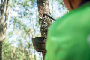 Aziatisch rubber boeren tikken rubber in de rubber plantage foto