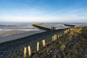 mooi kustlijn in de buurt Breskens, Zeeland, de nederland. foto