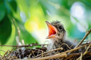 ai gegenereerd jong vogel in nest met Open mond aan het wachten naar worden gevoed. foto