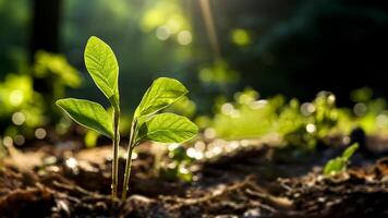 ai gegenereerd groen zaailing groeit van zaad in lente met zonnestralen foto