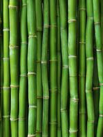 ai gegenereerd groen bamboe achtergrond structuur foto