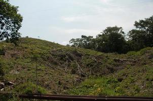 ontruimd Amazone regenwoud land, ecuador foto