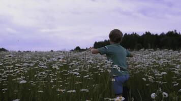 de jongen loopt door de weide met bloemen. creatief. achterzijde visie van een kind rennen door een veld- van madeliefjes. een kind in blauw kleren loopt door de hoog gras met madeliefjes foto