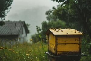 ai gegenereerd bijenkorf in de regen. bijenteelt in de platteland. foto