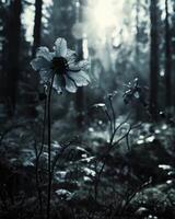 ai gegenereerd mooi wild bloem in de Woud Bij zonsondergang, zwart en wit foto