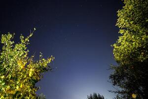 sterrenhemel nacht lucht in tuin, breed hoek vastleggen in zenit richting foto