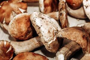 boletus edulis Aan een tafel gemaakt van bruin borden voorbereiding voor aan het eten. foto