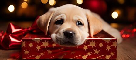 ai gegenereerd feestelijk labrador puppy in geschenk doos met vakantie backdrop blij Kerstmis huisdier portret foto