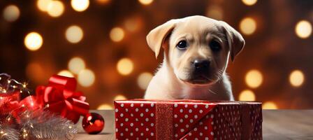 ai gegenereerd aanbiddelijk labrador puppy in geschenk doos met feestelijk vakantie backdrop blij Kerstmis huisdier portret foto