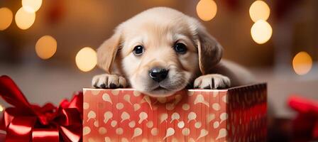 ai gegenereerd labrador puppy in geschenk doos met vakantie backdrop feestelijk huisdier portret met helder licht stijl foto