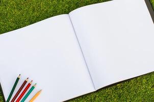 kleur potlood en schetsboek Aan vers voorjaar groen gras foto