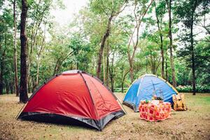 camping tent en picknick accessoires onder boom in ochtend- zonsopkomst. foto