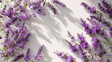 ai gegenereerd overhead lavendel tafereel voor achtergrond foto
