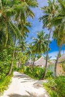strand toevlucht villa's, oerwoud traject rustig tropisch eiland, paradijs kust, kokosnoot palm bomen en zonnig lucht over- zand golven. verbazingwekkend vakantie landschap achtergrond. mooi vakantie strand foto