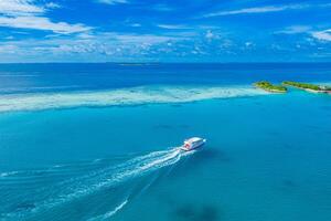 antenne visie het zeilen boot De volgende naar rif. vogel oog visie, water sport thema. snorkel excursie, recreatief duiken met toerist. luxe water sport duiken werkzaamheid in Maldiven foto