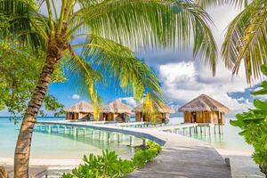 luxehotel met watervilla's en palmbladeren over wit zand, dicht bij blauwe zee, zeegezicht. strandstoelen, bedden met witte parasols. zomervakantie en vakantie, badplaats op tropisch eiland foto