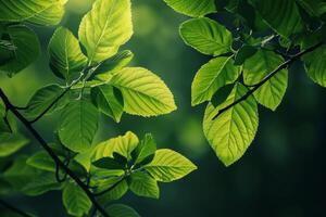 ai gegenereerd dichtbij omhoog schot van groen bladeren Aan een Afdeling. planten bladeren gebruik makend van net zo voorjaar achtergrond. generatief ai foto