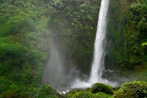 een waterval is omringd door weelderig groen vegetatie foto