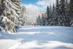 jong volwassen cross-country skiër oud 20-25 maken zijn eigen bijhouden in diep sneeuw in de wildernis gedurende ochtend- zonnig weer in beskydy bergen, Tsjechisch republiek foto