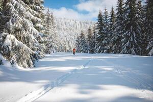 jong volwassen cross-country skiër oud 20-25 maken zijn eigen bijhouden in diep sneeuw in de wildernis gedurende ochtend- zonnig weer in beskydy bergen, Tsjechisch republiek foto