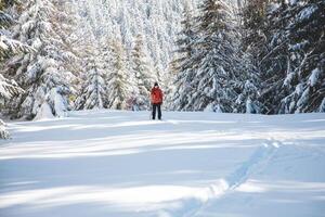 jong volwassen cross-country skiër oud 20-25 maken zijn eigen bijhouden in diep sneeuw in de wildernis gedurende ochtend- zonnig weer in beskydy bergen, Tsjechisch republiek foto