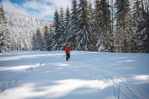 jong volwassen cross-country skiër oud 20-25 maken zijn eigen bijhouden in diep sneeuw in de wildernis gedurende ochtend- zonnig weer in beskydy bergen, Tsjechisch republiek foto