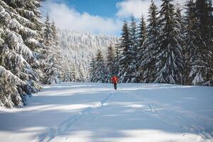 jong volwassen cross-country skiër oud 20-25 maken zijn eigen bijhouden in diep sneeuw in de wildernis gedurende ochtend- zonnig weer in beskydy bergen, Tsjechisch republiek foto