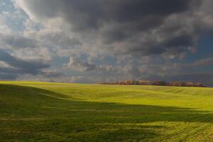 deze is een mooi beeld van een veld- dat lijkt naar rekken voor altijd. de rollend heuvels van de weelderig groen gras lijkt naar gloed met de bewolkt lucht bovenstaande. vallen gebladerte kan worden gezien in de afstand. foto